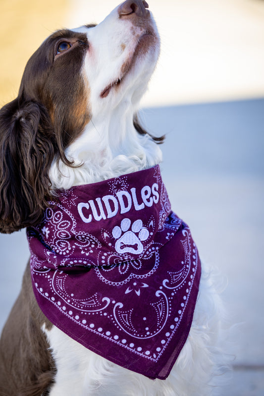 Custom Dog Bandana